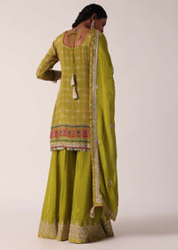 Olive Green Chiffon Printed Palazzo Set