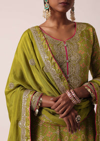 Olive Green Chiffon Printed Palazzo Set