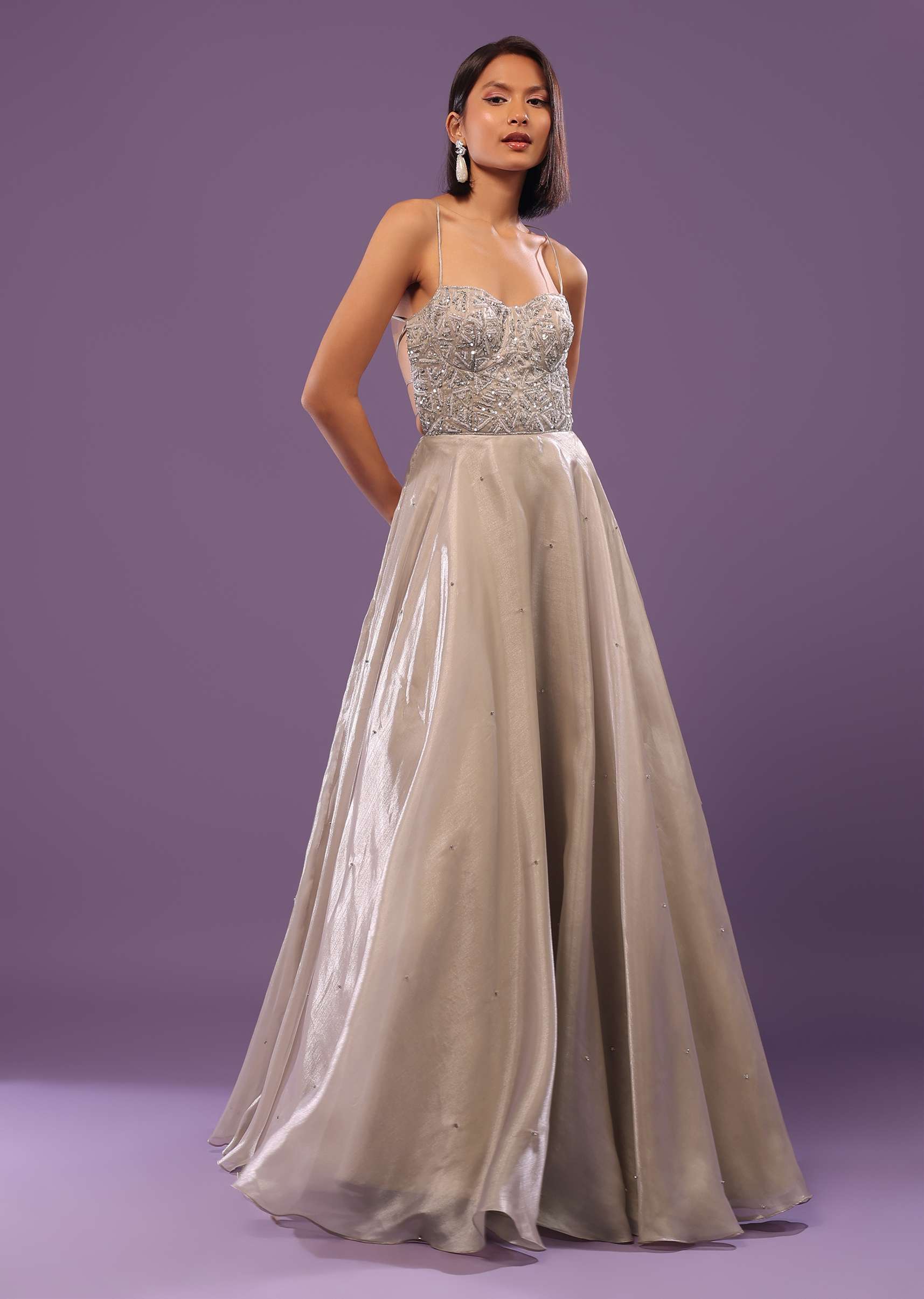 Powder Green Embroidered Gown In Organza