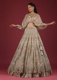 Oyster Lehenga With An Organza Cape Top And Cut Dana Handwork On The Lehenga