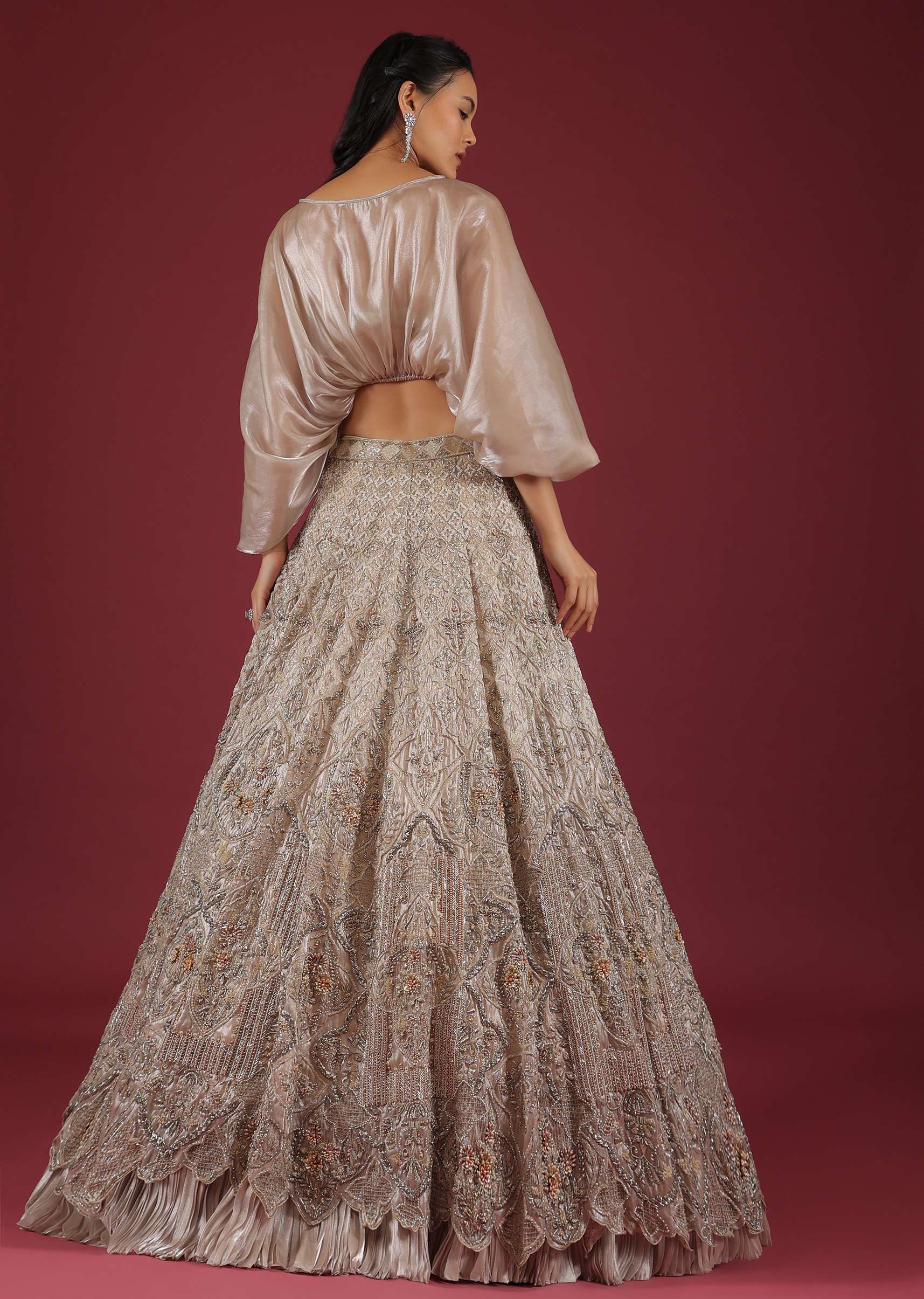 Oyster Lehenga With An Organza Cape Top And Cut Dana Handwork On The Lehenga