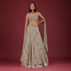 Oyster Net Lehenga And Crop Top With 3D Petal Motifs And An Open Back