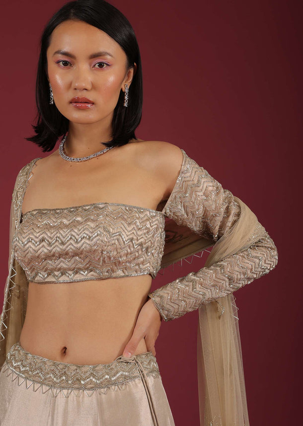 Doe Lehenga Choli In Cut Dana Embroidery And Wide Square Neckline With Full Sleeves