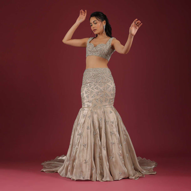 Organza Oyster Mermaid Lehenga With A Stone Motif Veil And Crop Top