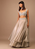 Oyster Organza Layered Skirt With Sleeveless Hand Embroidered Crop Top