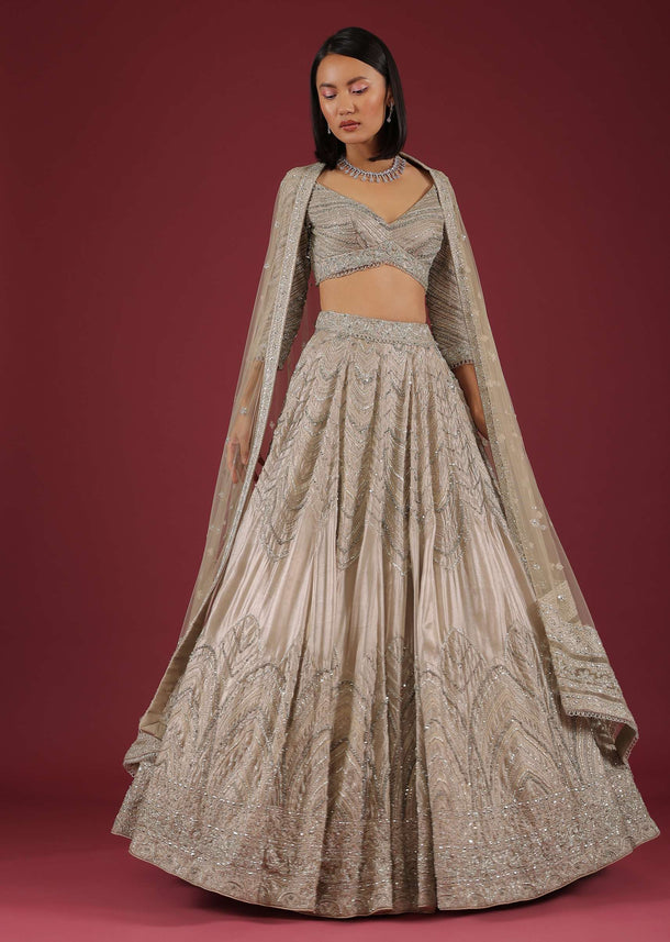 Oyster Organza Lehenga With Cut Dana Embroidery, Crop Top Comes In 3/4Th Sleeves With A Deep V Neckline