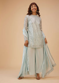 Powder Blue Palazzo Suit Set In Sequin