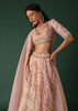 Peach Embroidered Lehenga Set In Organza