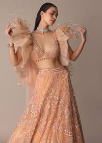 Peach Zardosi Lehenga With Dramatic Net Sleeves Blouse