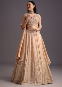 Peach Embroidered Choli And Sequin Work Lehenga With Organza Dupatta