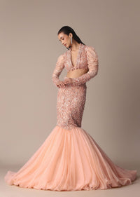 Peach Zardosi Fishcut Skirt With Embroidered Short Sleeve Jacket