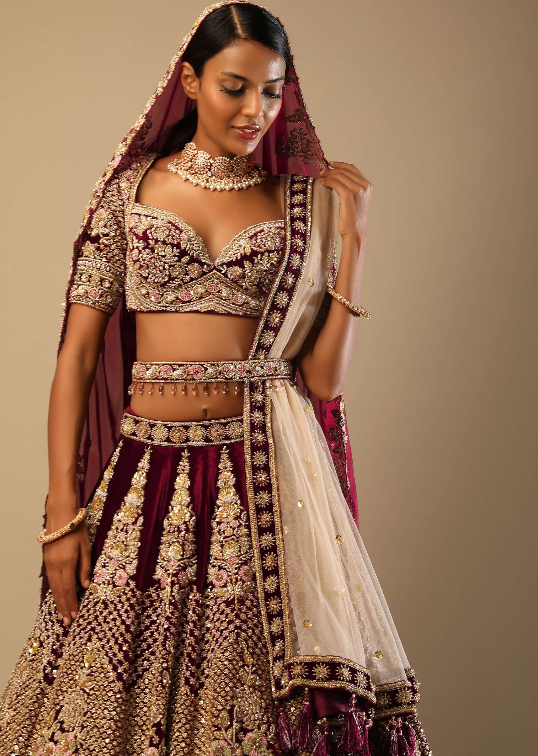 Persian Red Lehenga Choli In Velvet With Mughal Jaali And Floral Hand Embroidered Kali