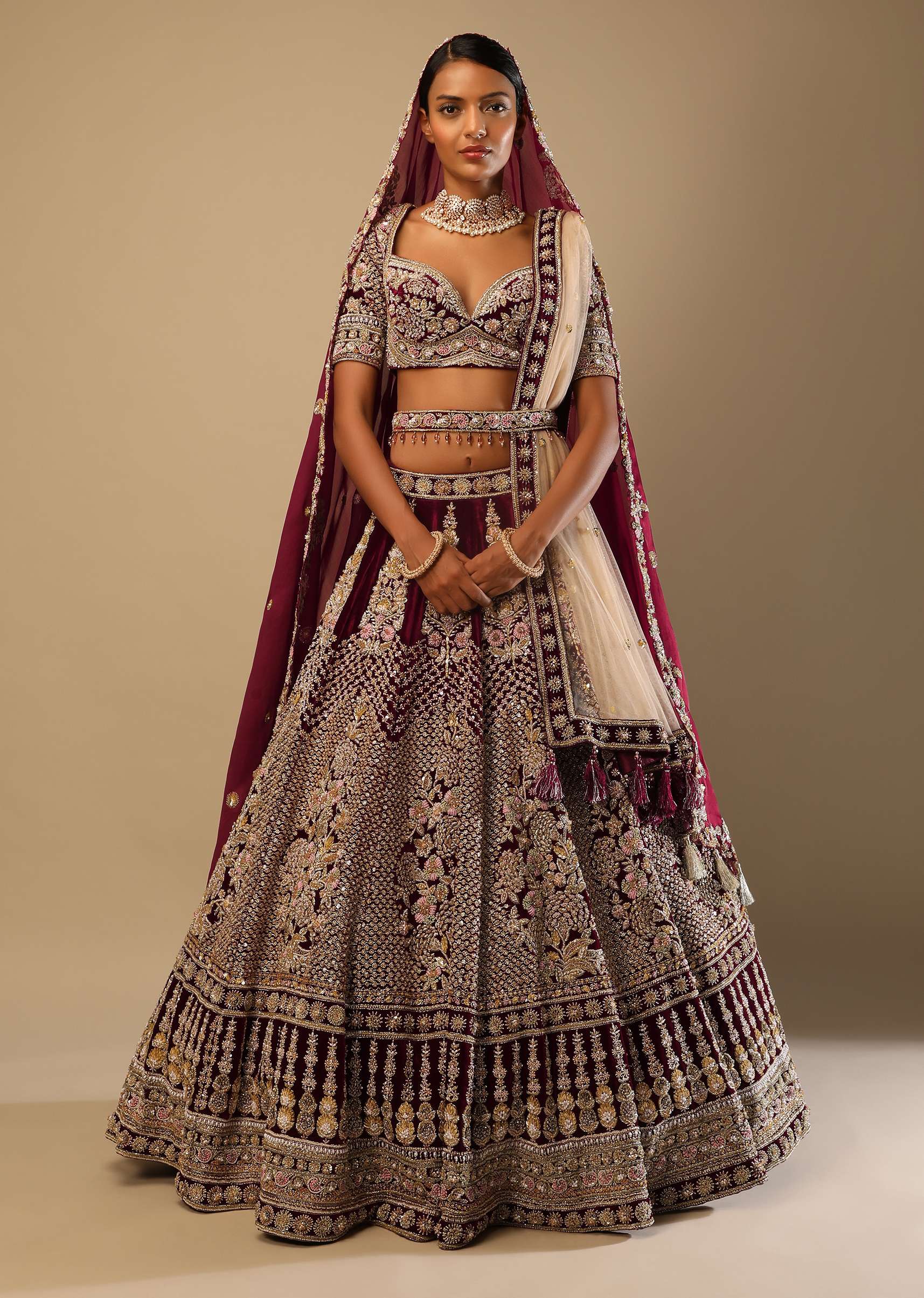 Persian Red Lehenga Choli In Velvet With Mughal Jaali And Floral Hand Embroidered Kali