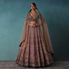 Petal Pink Bridal Lehenga And Blouse Set With 3D Embroidery