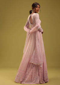 Petal Pink Georgette Anarkali Set With Lucknowi Embroidery