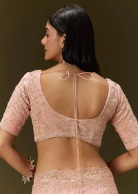 Pink Banarasi Tissue Saree With Velvet Embroidered Blouse