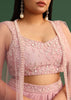 Peony Pink Draped Skirt With Sweatheart Neck Blouse With High Low Cape