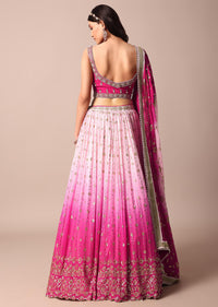 Pink Embroidered Choli With Exquisite Lehenga And Sequin-Adorned Dupatta