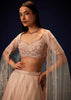 Pink Organza 8 Kali Lehenga With Embroidered Blouse and Cutwork Dupatta