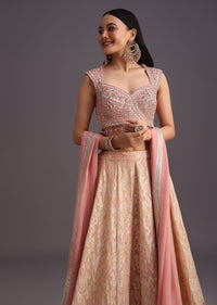 Pink Hand Work Choli And Banarasi Weave Lehenga With Butti Dupatta