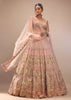 Pink Lehenga And Sleeveless Crop Top Set With A Corset Neckline In Zardozi Embroidery