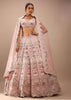 Pink Lehenga And Crop In Sequins And Cut Dana Embroidery, The Crop Top Comes In Sleeveless With Plunging Neckline