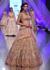 Pink Lehenga With A Crop Top In Zardozi Embroidery, Crop Top Comes In Sleeveless With A Corset Neckline