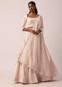 Pink Lucknowi Lehenga Set With Organza Dupatta