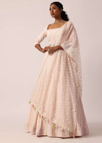 Pink Lucknowi Lehenga Set With Organza Dupatta