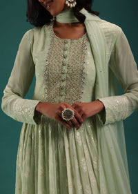 Pista Green Lucknowi Embroidered Anarkali Set