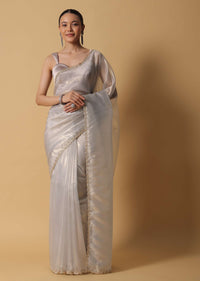 Powder Green Foil Saree In Tissue With Cut Dana Embroidered Borders