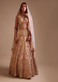 Powder Pink Lehenga Choli With Hand Embossed Embroidery Detailing In Ornate Floral Kalis And Mughal Motifs