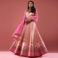 Powder Pink Lehenga In Silk With Tomb And Floral Print And Hand Embroidery Detailing