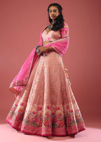 Powder Pink Lehenga In Silk With Tomb And Floral Print And Hand Embroidery Detailing