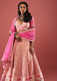 Powder Pink Lehenga In Silk With Tomb And Floral Print And Hand Embroidery Detailing