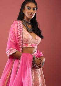 Powder Pink Lehenga In Silk With Tomb And Floral Print And Hand Embroidery Detailing