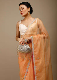 Pumpkin Orange Saree In Organza With Moti Beads And Stone Embroidered Round Motifs On The Border And Butti Design