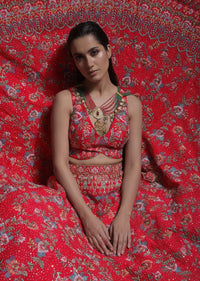 Carmine Red Heavy Embroidered Lehenga With Resham Embroidered Floral Vines And Heritage Border