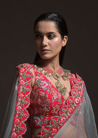 Carmine Red Heavy Embroidered Lehenga With Resham Embroidered Floral Vines And Heritage Border