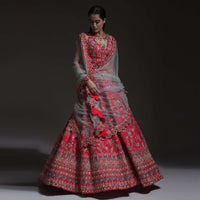 Carmine Red Heavy Embroidered Lehenga With Resham Embroidered Floral Vines And Heritage Border