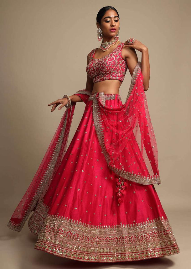 Rani Pink Lehenga Choli With Cut Dana Embroidered Buttis And Heavy Border Design