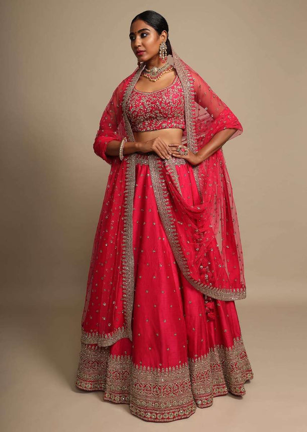 Rani Pink Lehenga Choli With Cut Dana Embroidered Buttis And Heavy Border Design