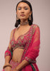 Rani Pink Lehenga In Golden Zari Work Embroidery Inspired By Mughal Architecture With Matching Net Dupatta In Embroidered Buttis