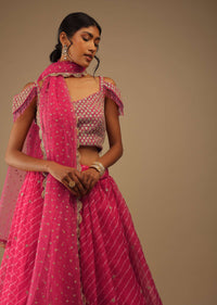 Raspberry Sorbet Pink Lehenga With Zari Embroidery Floral Motifs, Choli Comes With Sleeveless With Moti Fringes Embroidery