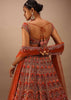 Red Lehenga With a Crop Top Embroidered With Royal Heritage