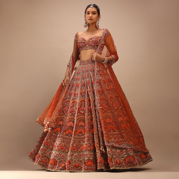 Red Lehenga With a Crop Top Embroidered With Royal Heritage