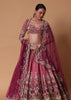 Red Velvet Silk 16 Kali Zardosi Lehenga With Crystal Blouse And Two Dupattas