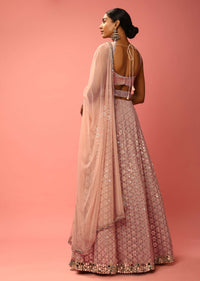 Rose Dust Lehenga Choli In Georgette With Sequins Embroidered Jaal And Mirror Border