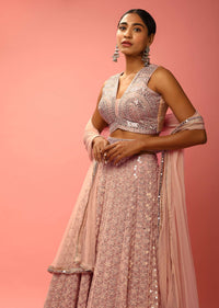 Rose Dust Lehenga Choli In Georgette With Sequins Embroidered Jaal And Mirror Border