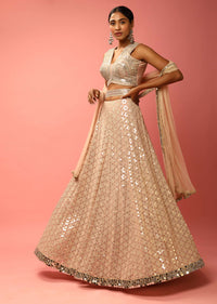 Rose Dust Lehenga Choli In Georgette With Sequins Embroidered Jaal And Mirror Border